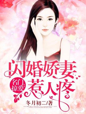 名门掠爱闪婚娇妻惹人疼全百度