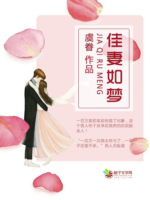 佳妻如梦什么意思