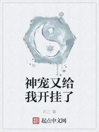 石三作品神宠又给我开挂了