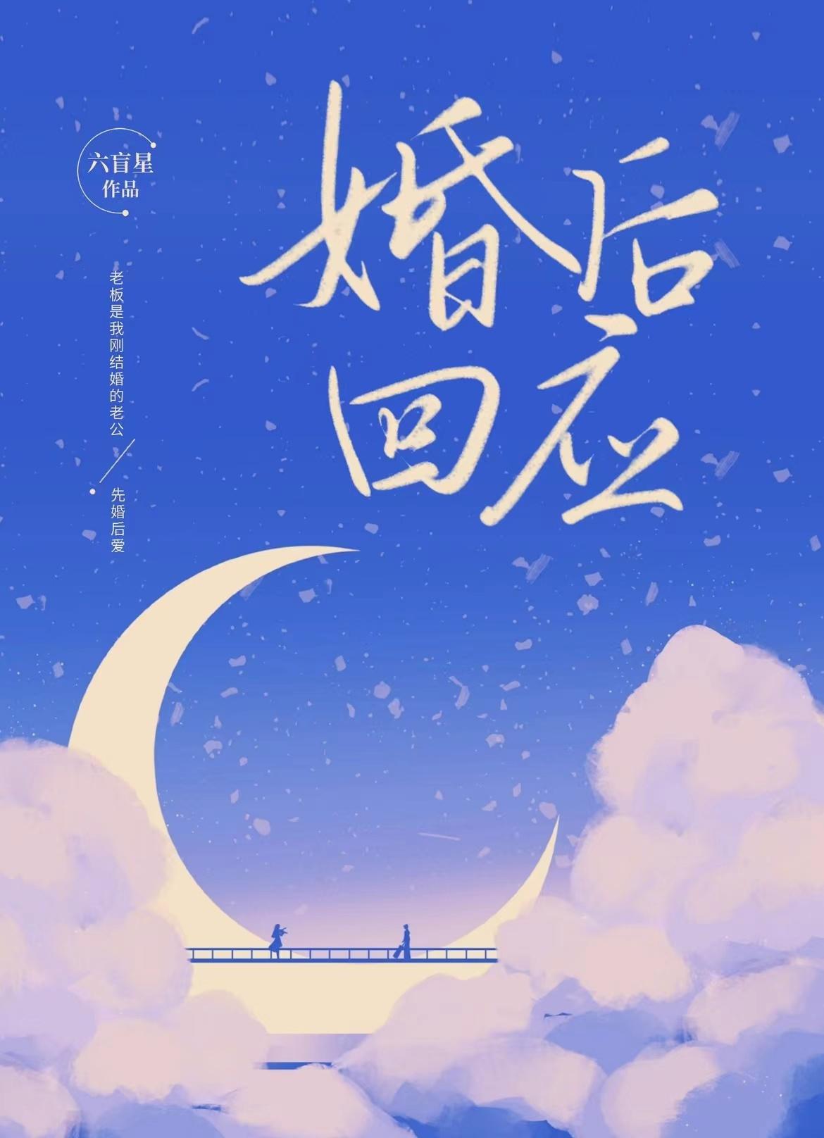 婚后回应六盲星TXT免费