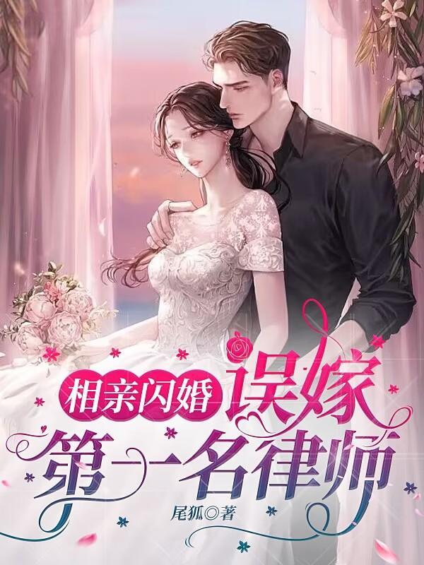 闪婚嫁律师老公全文