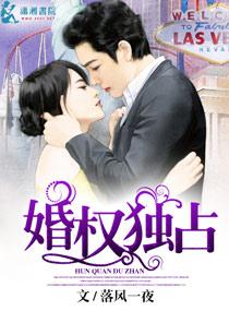 婚宠之3婚权独占