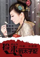 新来太子妃